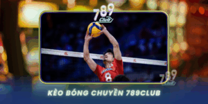Keo Bong Chuyen 789Club Ca Cuoc The Thao Hap Dan